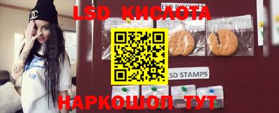 ГАЛЛЮЦИНОГЕННЫЕ ГРИБЫ Сланцы