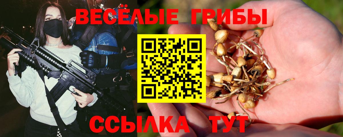Галлюциногенные грибы мухоморы Россошь